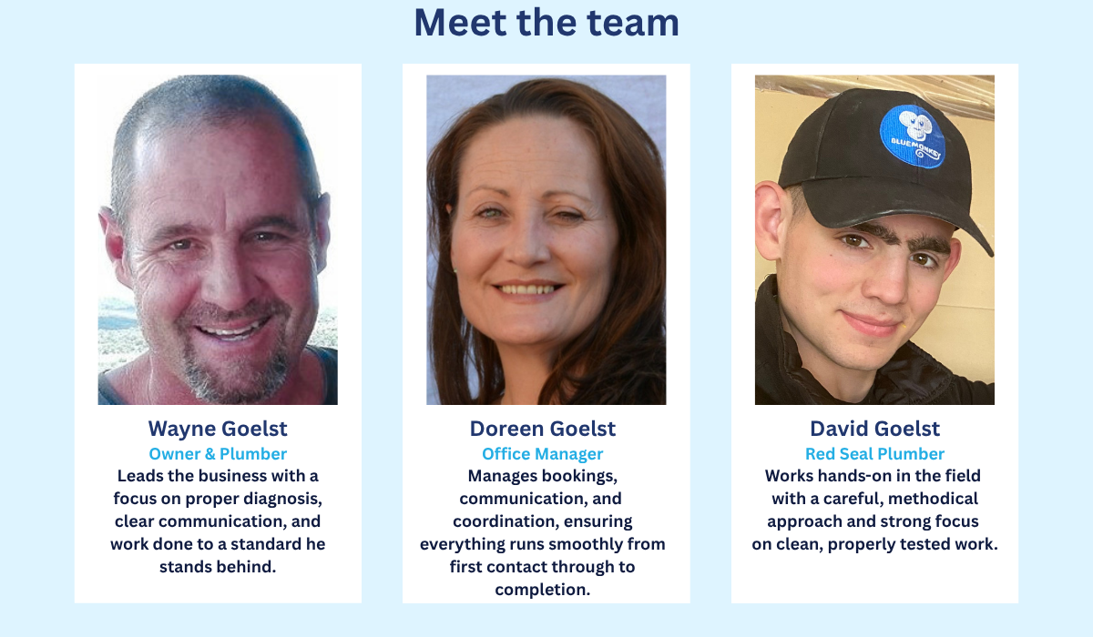 Blue Monkey Plumbing team serving North Shore homes