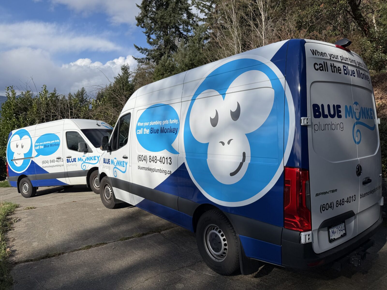 Blue Monkey Plumbing vans parked in a Lions Bay driveway