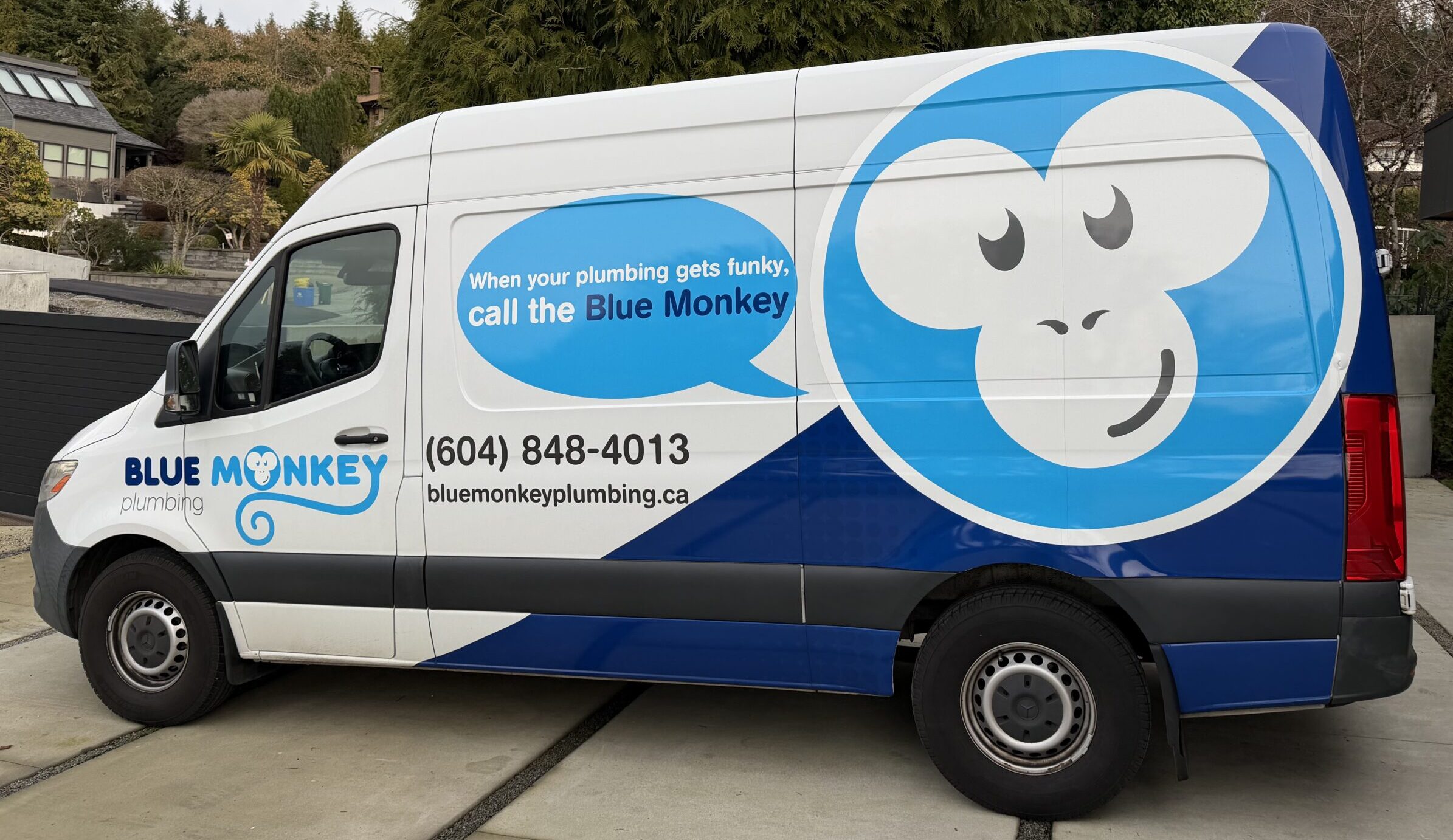 Blue Monkey Plumbing service van at a North Shore residential home