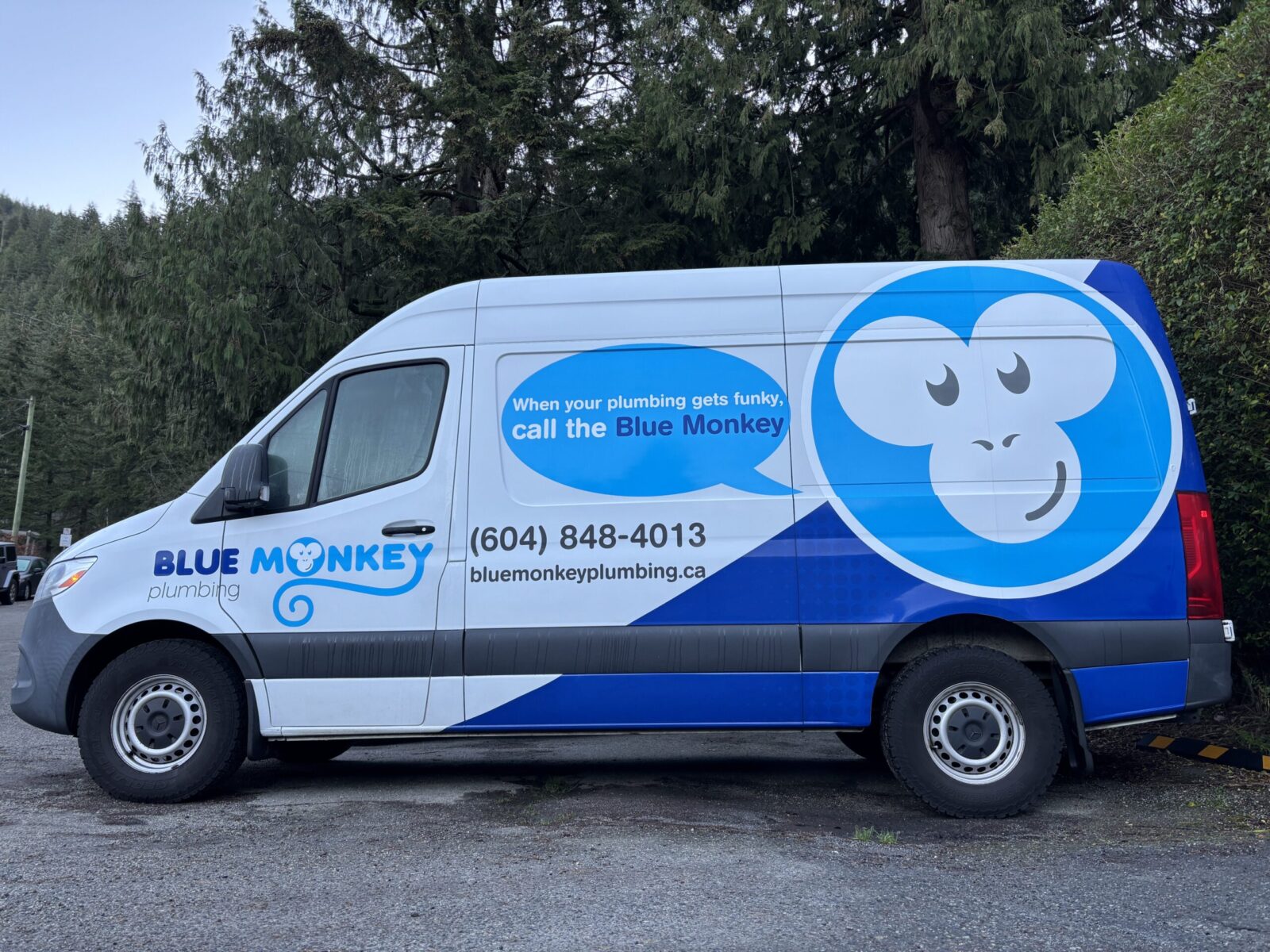Blue Monkey Plumbing service van for residential plumbing in West Vancouver
